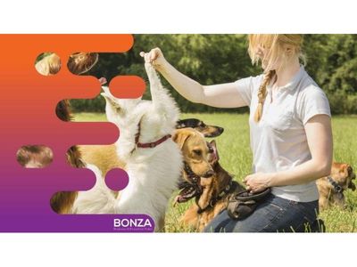 36875-longstanding-amp-highly-reputable-dog-training-business-proven-operation-0