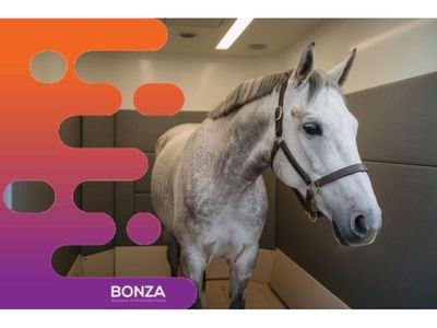 36533-mobile-equine-wellbeing-business-with-exclusive-territory-1