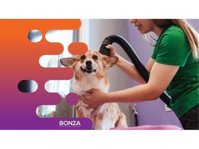 35658-well-established-mobile-dog-grooming-business-with-strong-local-following-1