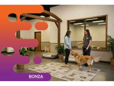 36522-profitable-dog-daycare-business-with-strong-client-retention-0