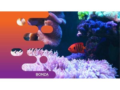 36046-established-aquarium-business-multiple-revenue-streams-1