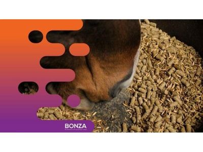 35110-profitable-pet-food-amp-supplies-retail-business-2