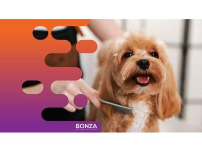 36635-profitable-mobile-dog-grooming-business-open-to-offers-1