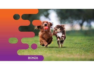 35597-reputable-pet-house-manufacturing-business-10-years-1