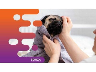 35061-thriving-dog-grooming-business-in-prime-location-1
