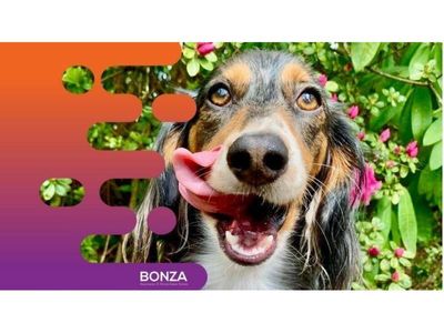 35203-profitable-dog-day-care-amp-retreat-repeat-customer-base-0
