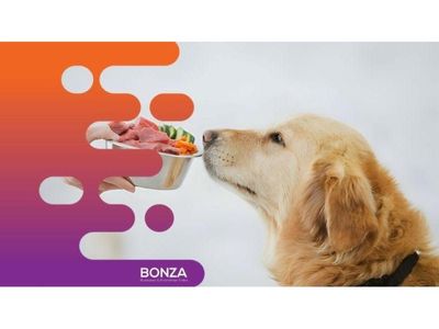 35027-thriving-pet-food-retailer-niche-market-presence-2