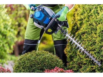 34548-profitable-arboriculture-business-growth-potential-1