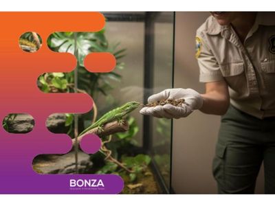 37229-profitable-insect-breeding-business-strong-wholesale-demand-1