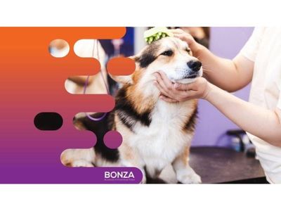 36130-highly-reputable-pet-grooming-salon-in-prime-location-1