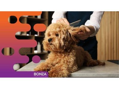36834-dog-grooming-daycare-and-retail-space-2