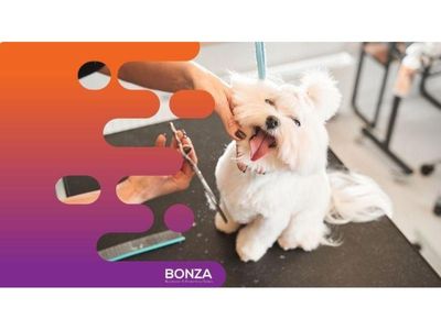 36113-profitable-dog-daycare-amp-grooming-business-limited-competition-2