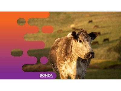 36071-profitable-livestock-product-brand-national-distribution-network-2
