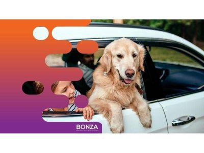 36452-profitable-online-business-ecommerce-in-premium-pet-niche-0