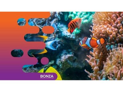 36046-established-aquarium-business-multiple-revenue-streams-2