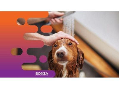 36130-highly-reputable-pet-grooming-salon-in-prime-location-2