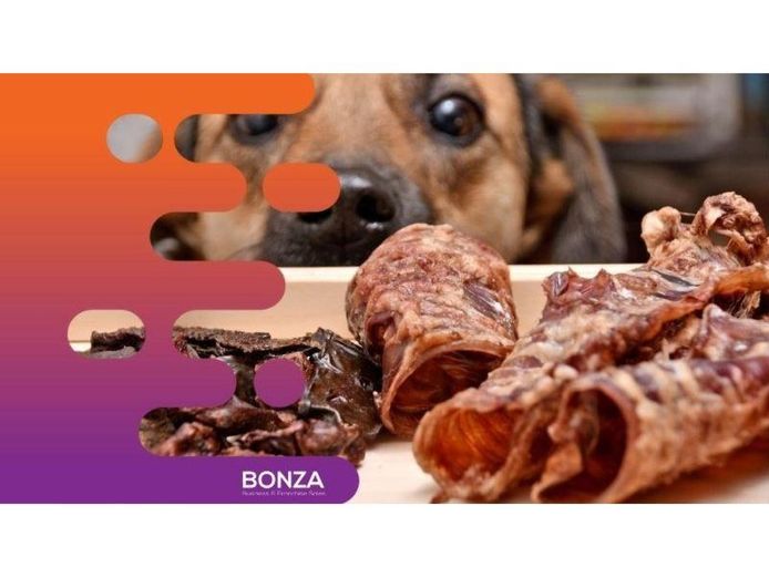 35027-thriving-pet-food-retailer-niche-market-presence-1