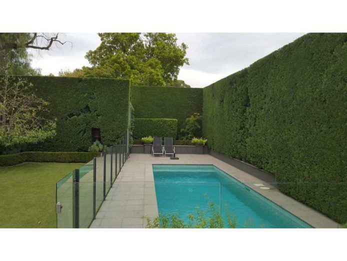 20264-hedge-trimming-business-reduced-for-quick-sale-1