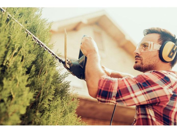 20264-hedge-trimming-business-reduced-for-quick-sale-0