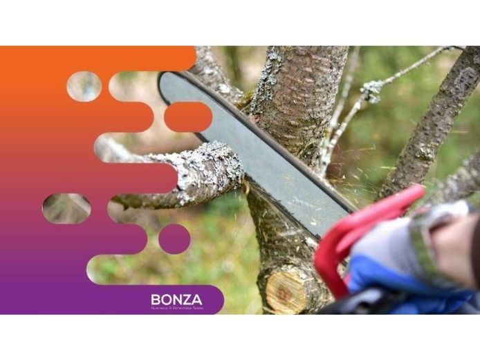 35246-well-established-tree-services-amp-arborist-business-1