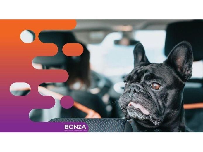 36452-profitable-online-business-ecommerce-in-premium-pet-niche-1