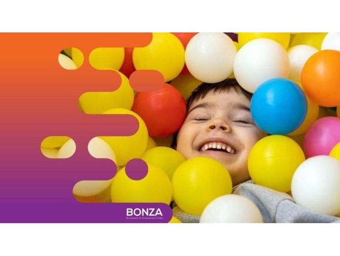 36182-profitable-kids-39-soft-play-hire-business-flexible-opportunity-2