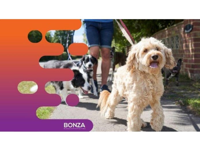34391-profitable-dog-walking-business-with-ecommerce-store-2