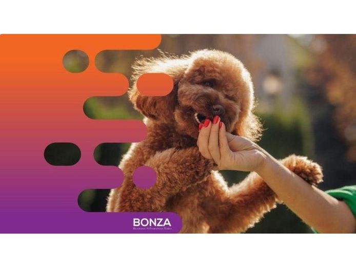 36341-multi-award-winning-subscription-pet-care-service-1