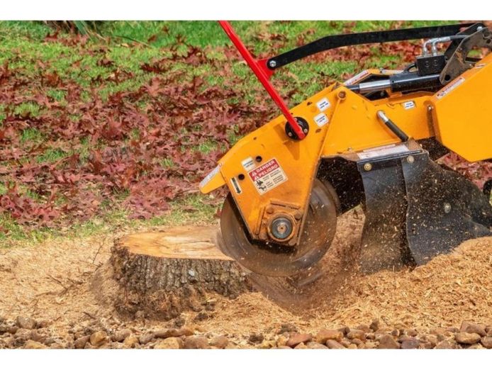 34493-profitable-amp-growing-tree-services-business-1