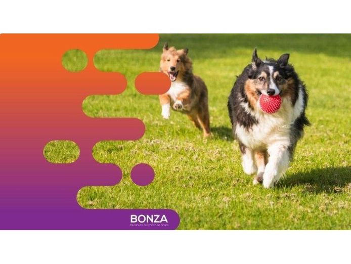 36341-multi-award-winning-subscription-pet-care-service-2