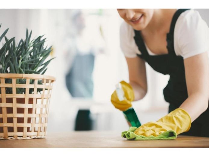 34328-lucrative-amp-unique-cleaning-business-oversnow-access-advantage-0
