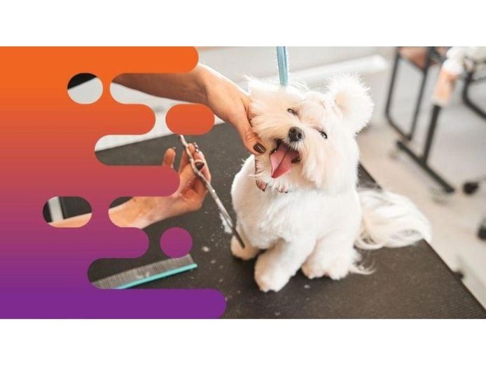 35658-well-established-mobile-dog-grooming-business-with-strong-local-following-0