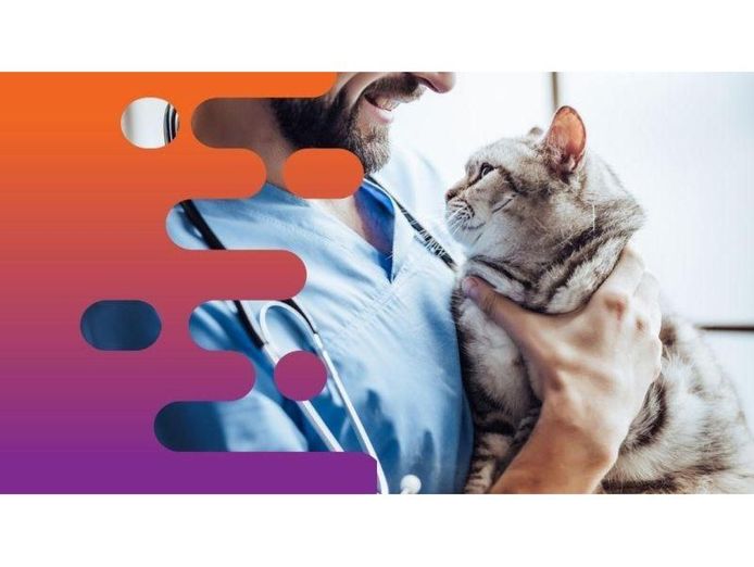 36686-profitable-mobile-veterinary-business-low-overheads-1