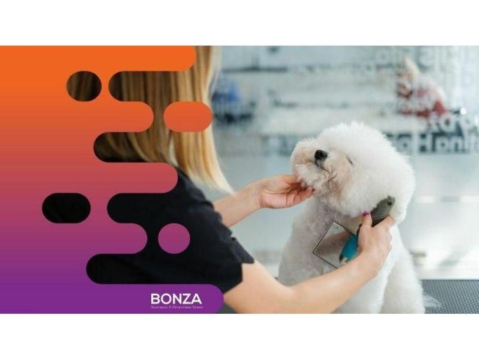 35482-popular-pet-grooming-salon-on-the-sunshine-coast-1