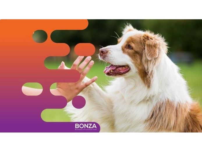 36875-longstanding-amp-highly-reputable-dog-training-business-proven-operation-2