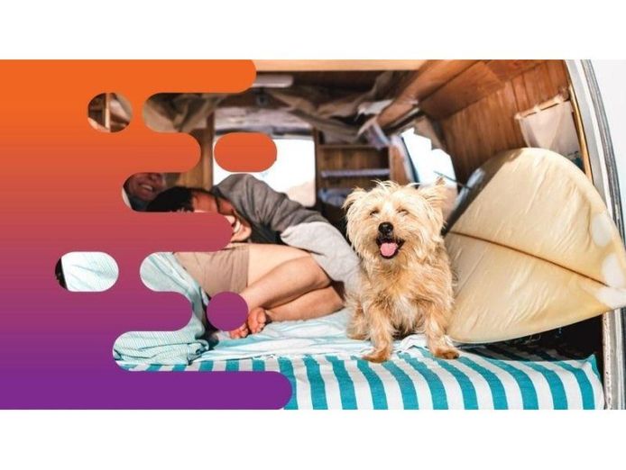 35537-profitable-campervan-amp-car-rental-business-ready-for-new-ownership-1