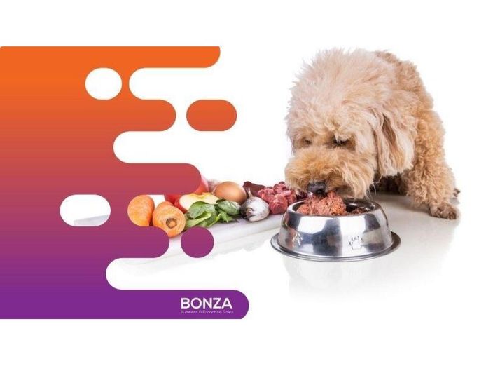 36340-profitable-raw-pet-food-business-high-demand-0