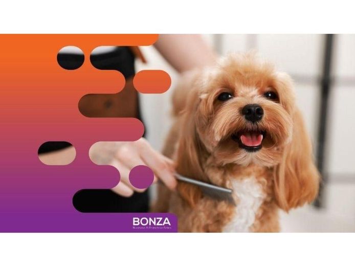 36635-profitable-mobile-dog-grooming-business-open-to-offers-1