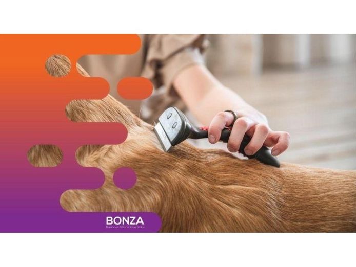 35658-well-established-mobile-dog-grooming-business-with-strong-local-following-2