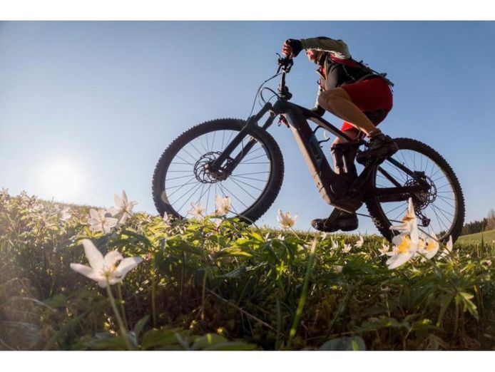 23201-successful-amp-longstanding-electric-bicycle-retailer-lucrative-market-0