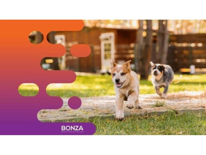 36113-profitable-dog-daycare-amp-grooming-business-0
