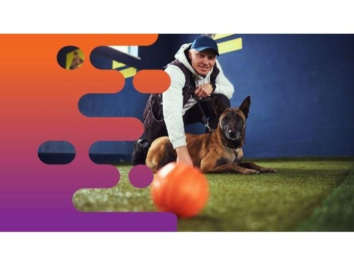 36875-longstanding-amp-highly-reputable-dog-training-business-proven-operation-1