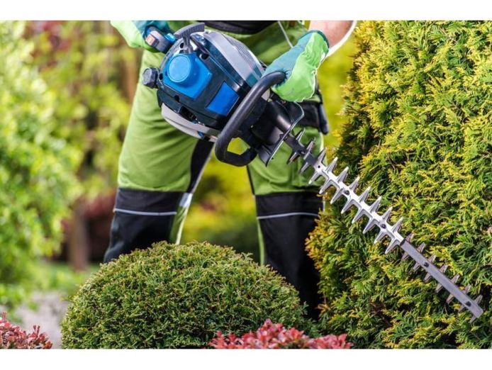 34548-profitable-arboriculture-business-growth-potential-1