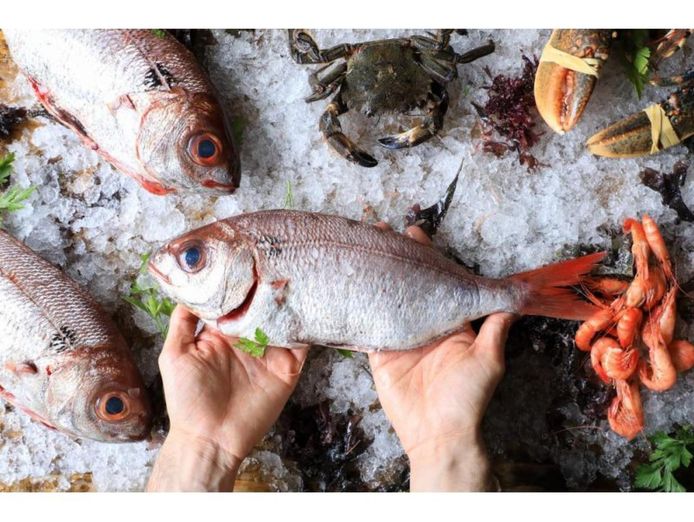 34089-mobile-fresh-seafood-retailer-20-years-0