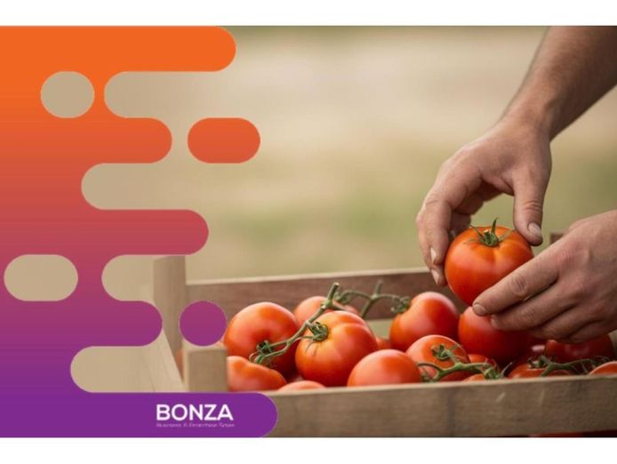 37104-wholesale-produce-distribution-business-strong-grower-relationships-2