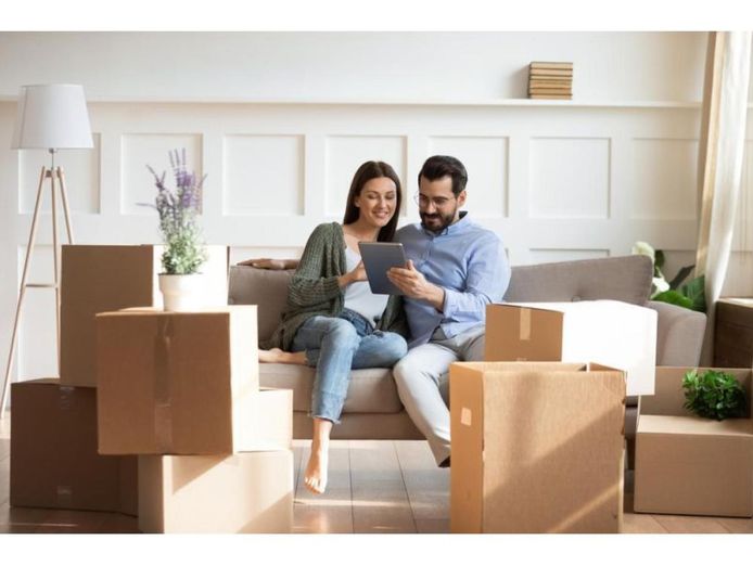 33188-profitable-furniture-removal-amp-storage-business-2
