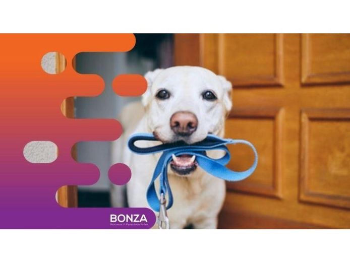 36008-established-pet-care-business-trusted-brand-with-custom-app-0