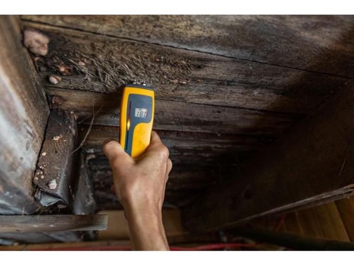 34489-profitable-property-inspection-business-2