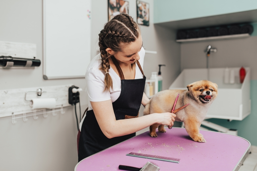 34235 Profitable Mobile Dog Grooming Business in North Lakes QLD, 4509