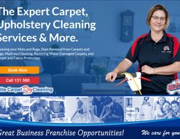 Secure your Financial Future with Carpet Cleaning Franchise Business!